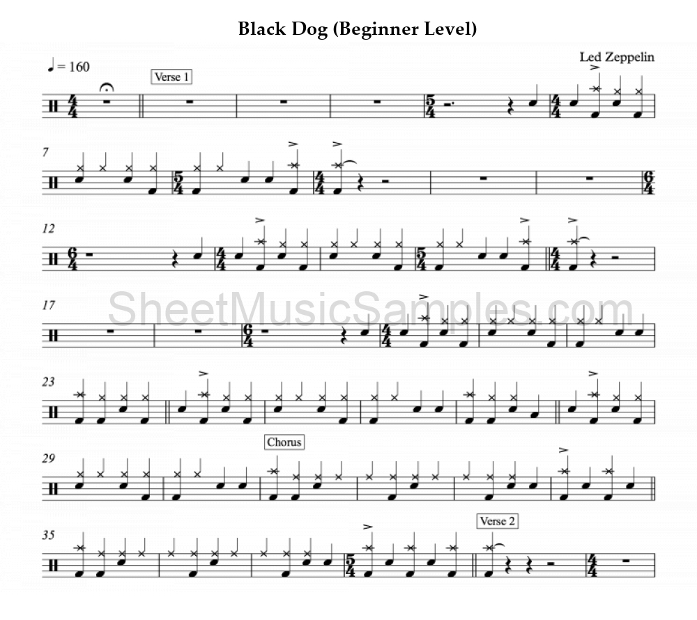 Black Dog (Beginner Level)