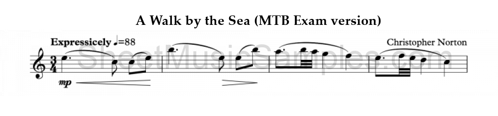 A Walk by the Sea (MTB Exam version)