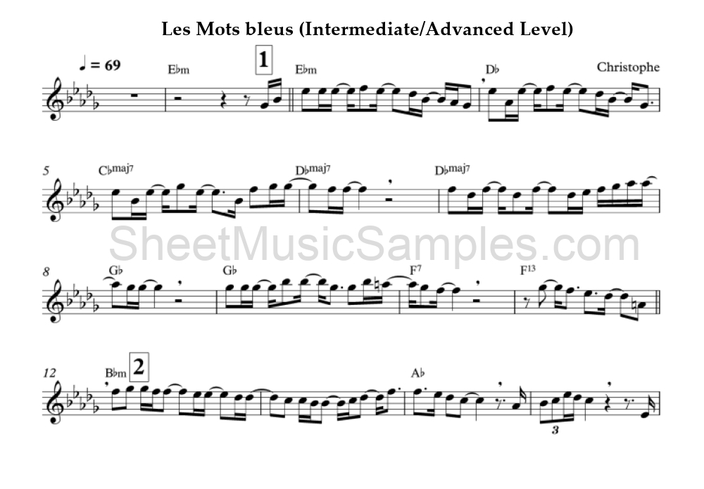 Les Mots bleus (Intermediate/Advanced Level)