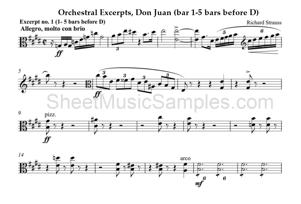 Orchestral Excerpts, Don Juan (bar 1-5 bars before D)