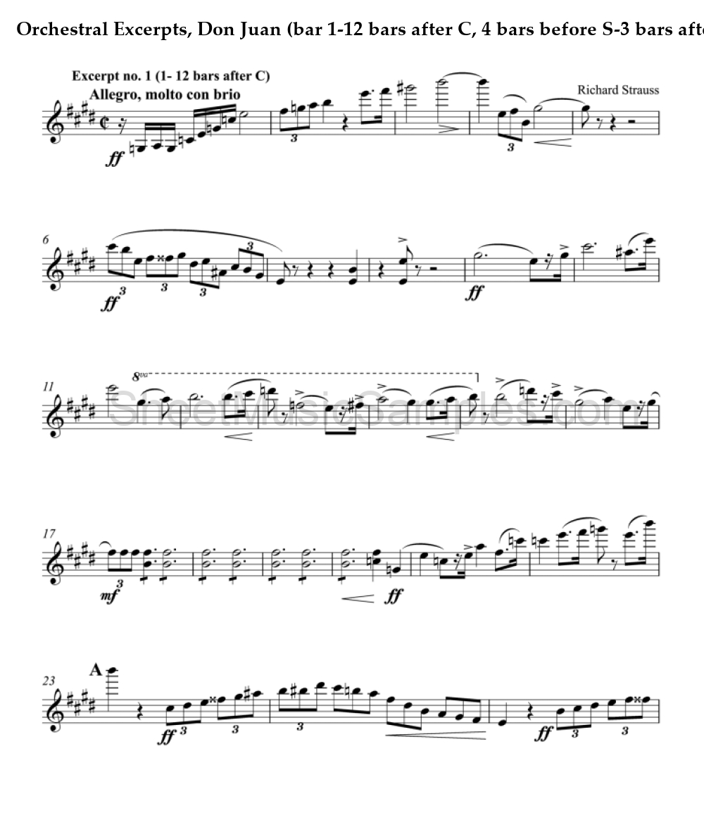 Orchestral Excerpts, Don Juan (bar 1-12 bars after C, 4 bars before S-3 bars after U)