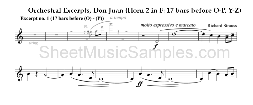 Orchestral Excerpts, Don Juan (Horn 2 in F: 17 bars before O-P, Y-Z)