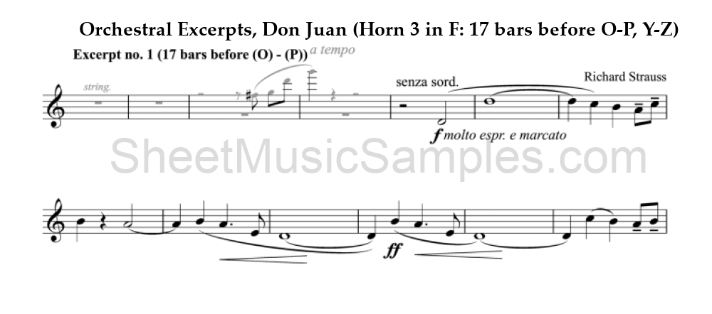 Orchestral Excerpts, Don Juan (Horn 3 in F: 17 bars before O-P, Y-Z)