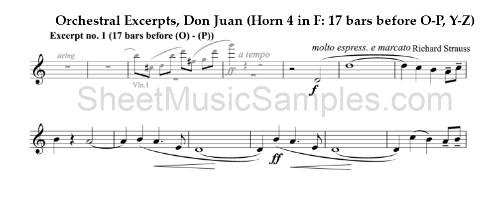 Orchestral Excerpts, Don Juan (Horn 4 in F: 17 bars before O-P, Y-Z)