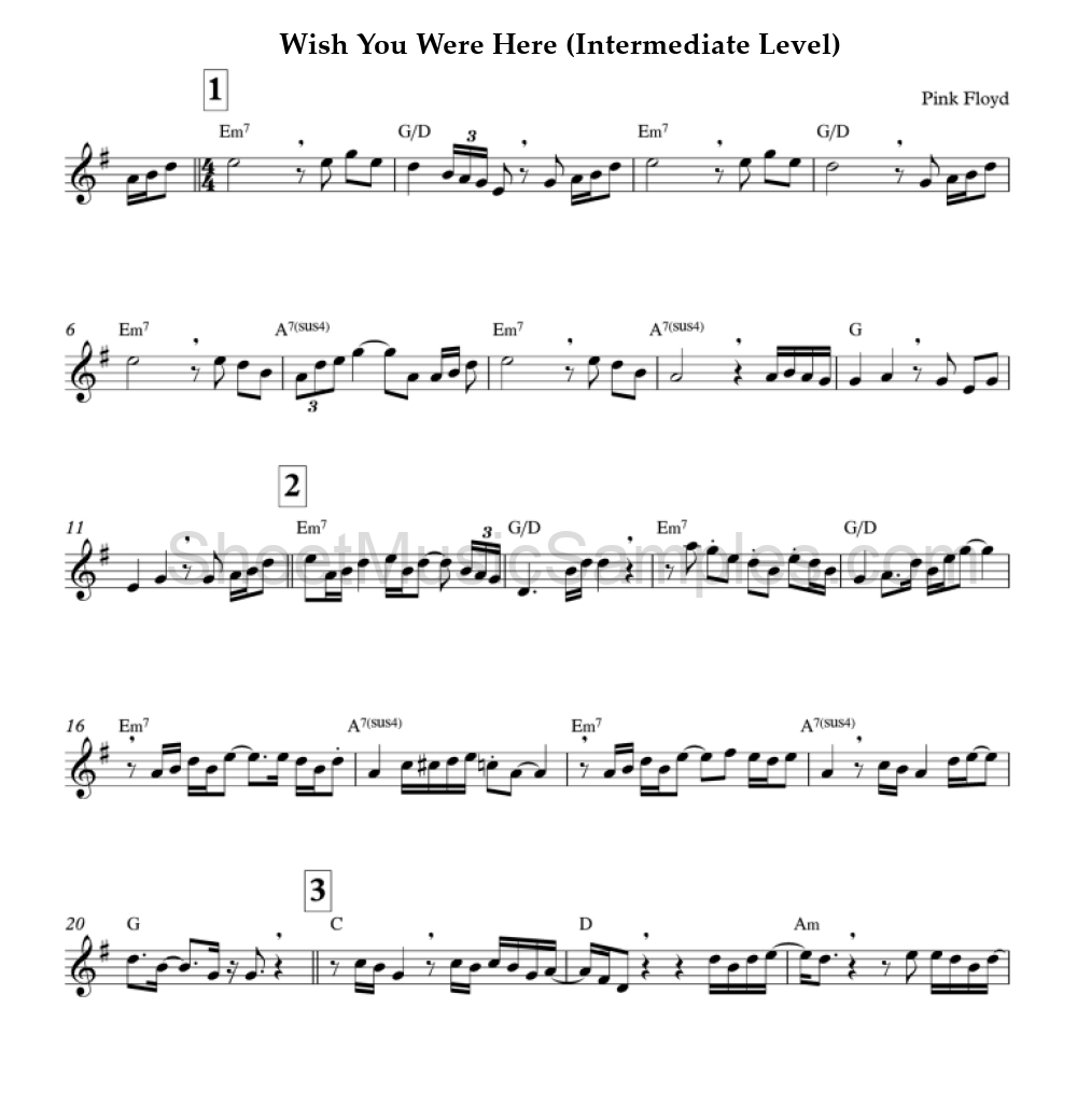 Wish You Were Here (Intermediate Level)