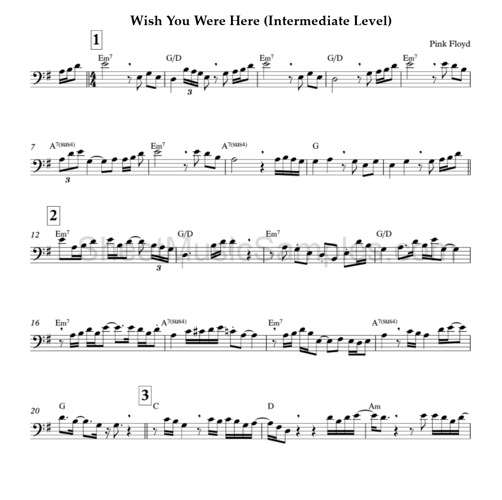 Wish You Were Here (Intermediate Level)