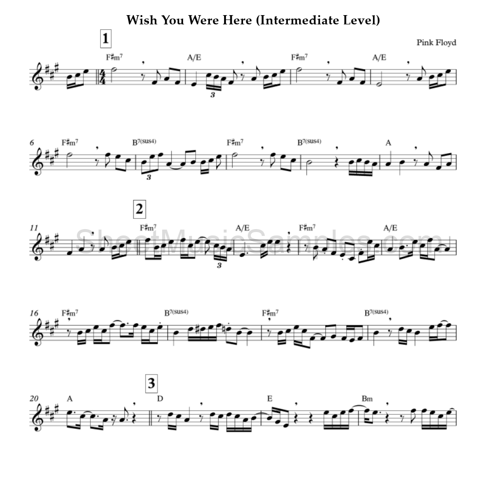 Wish You Were Here (Intermediate Level)