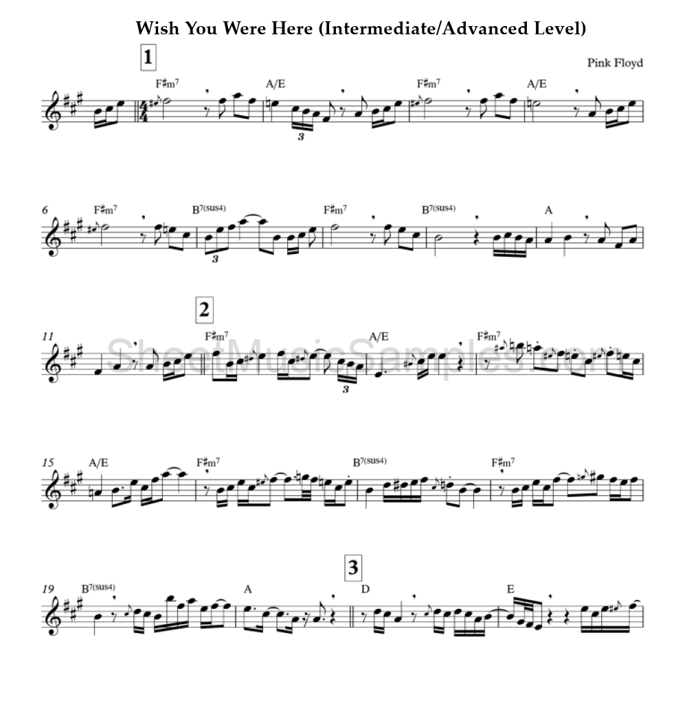 Wish You Were Here (Intermediate/Advanced Level)