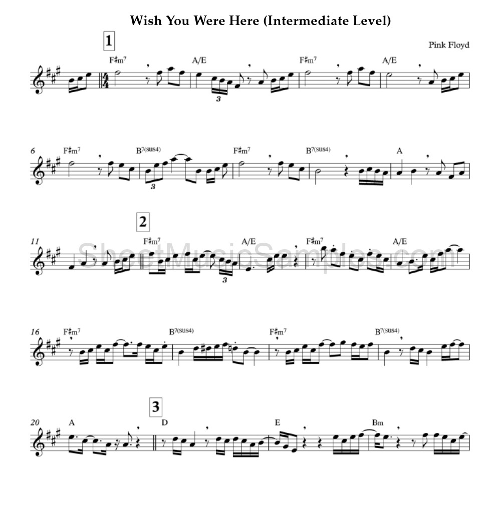 Wish You Were Here (Intermediate Level)