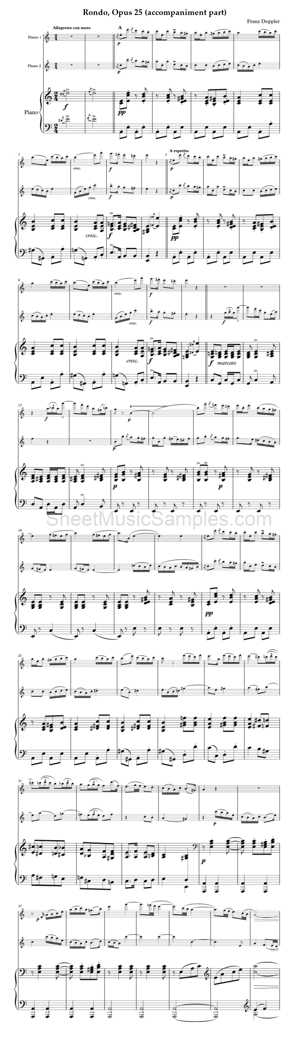 Rondo, Opus 25 (accompaniment part)