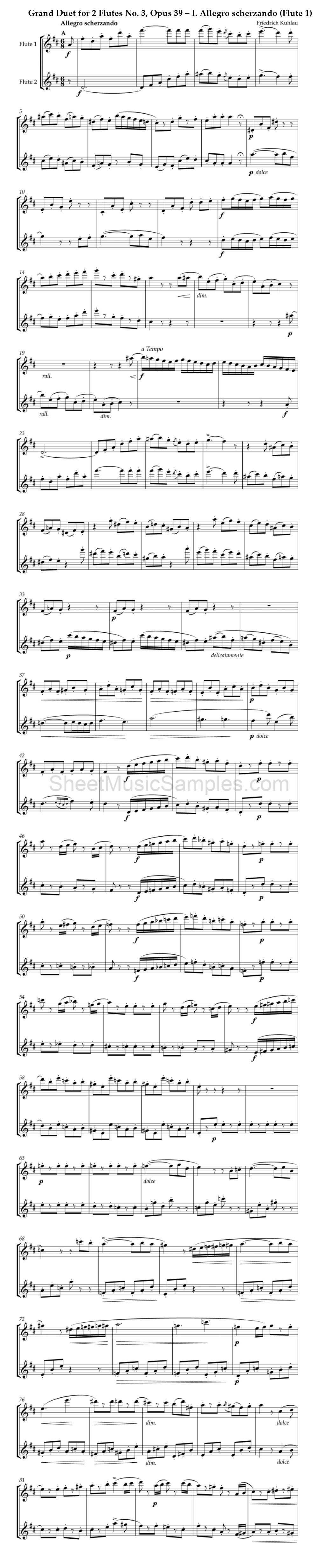 Grand Duet for 2 Flutes No. 3, Opus 39 – I. Allegro scherzando (Flute 1)