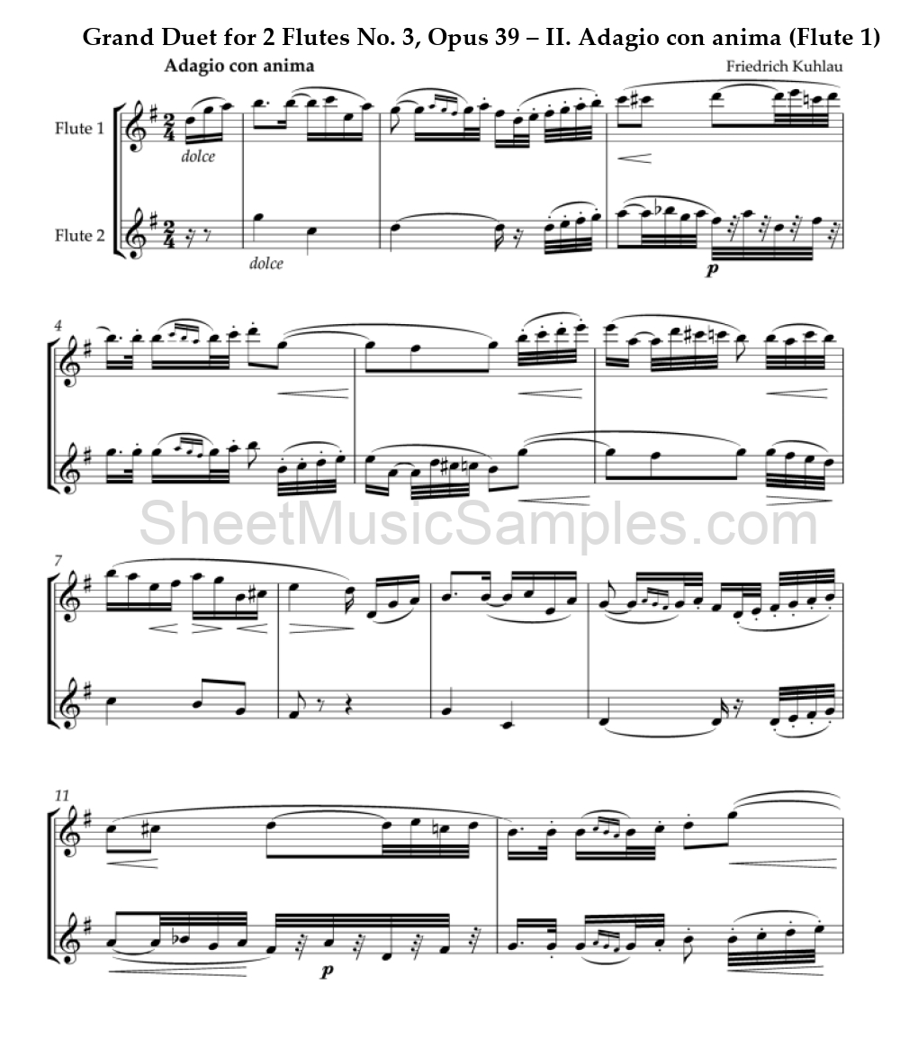 Grand Duet for 2 Flutes No. 3, Opus 39 – II. Adagio con anima (Flute 1)