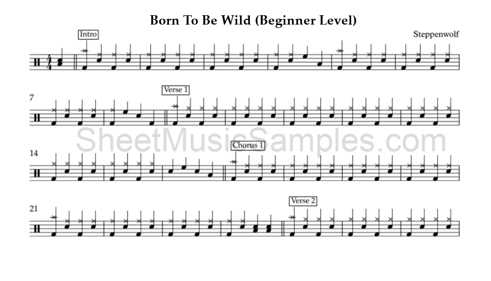 Born To Be Wild (Beginner Level)