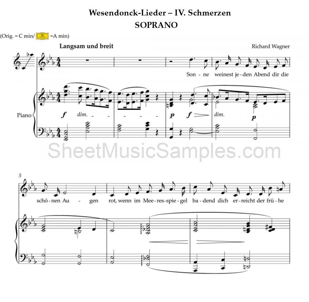 Wesendonck-Lieder – IV. Schmerzen - SOPRANO