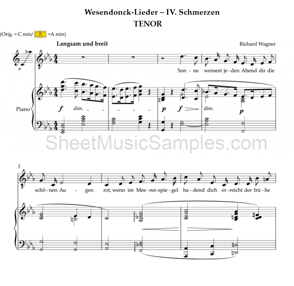 Wesendonck-Lieder – IV. Schmerzen - TENOR