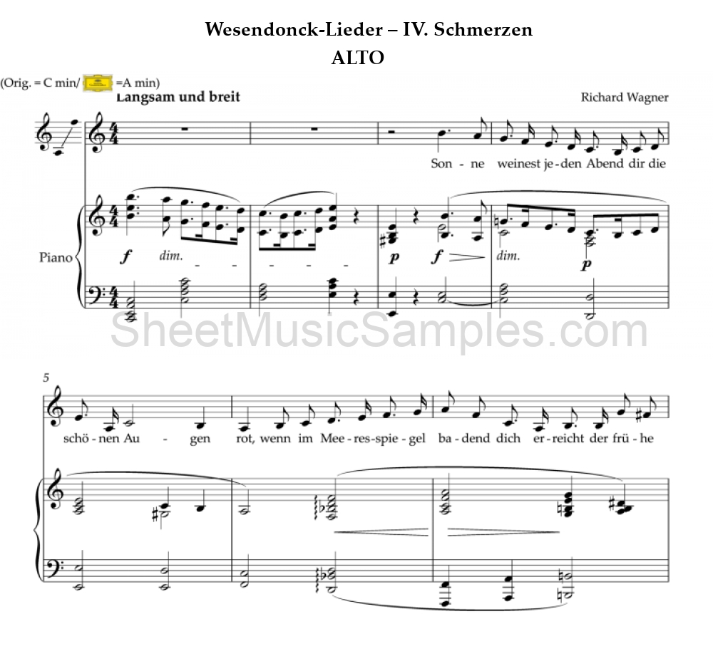 Wesendonck-Lieder – IV. Schmerzen - ALTO