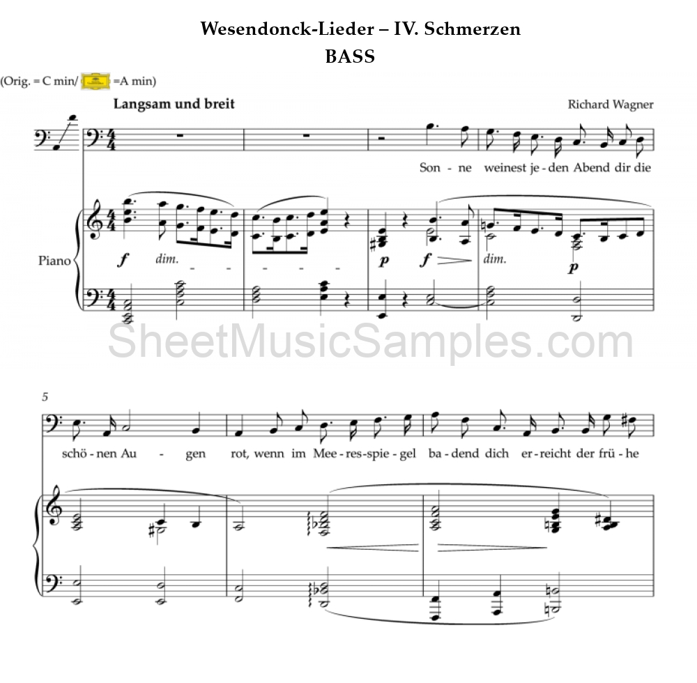 Wesendonck-Lieder – IV. Schmerzen - BASS