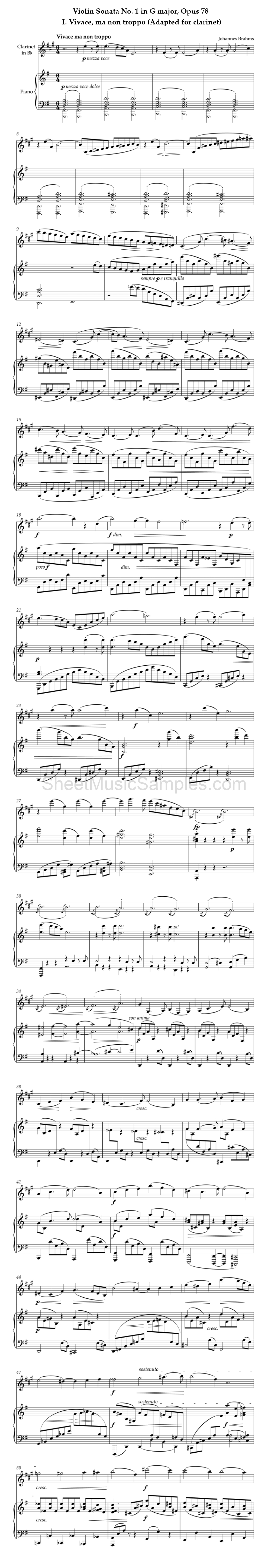 Violin Sonata No. 1 in G major, Opus 78 - I. Vivace, ma non troppo (Adapted for clarinet)