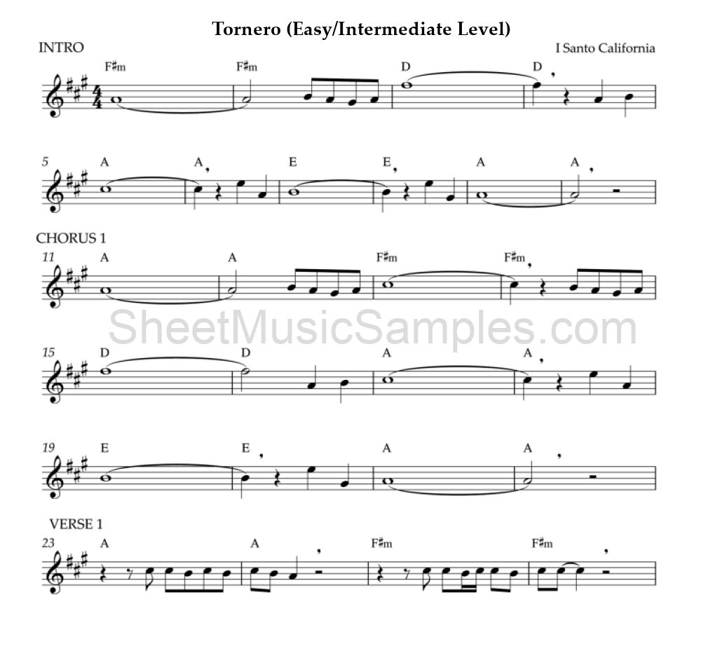 Tornero (Easy/Intermediate Level)