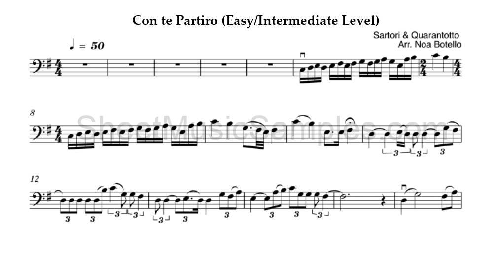 Con te Partiro (Easy/Intermediate Level)