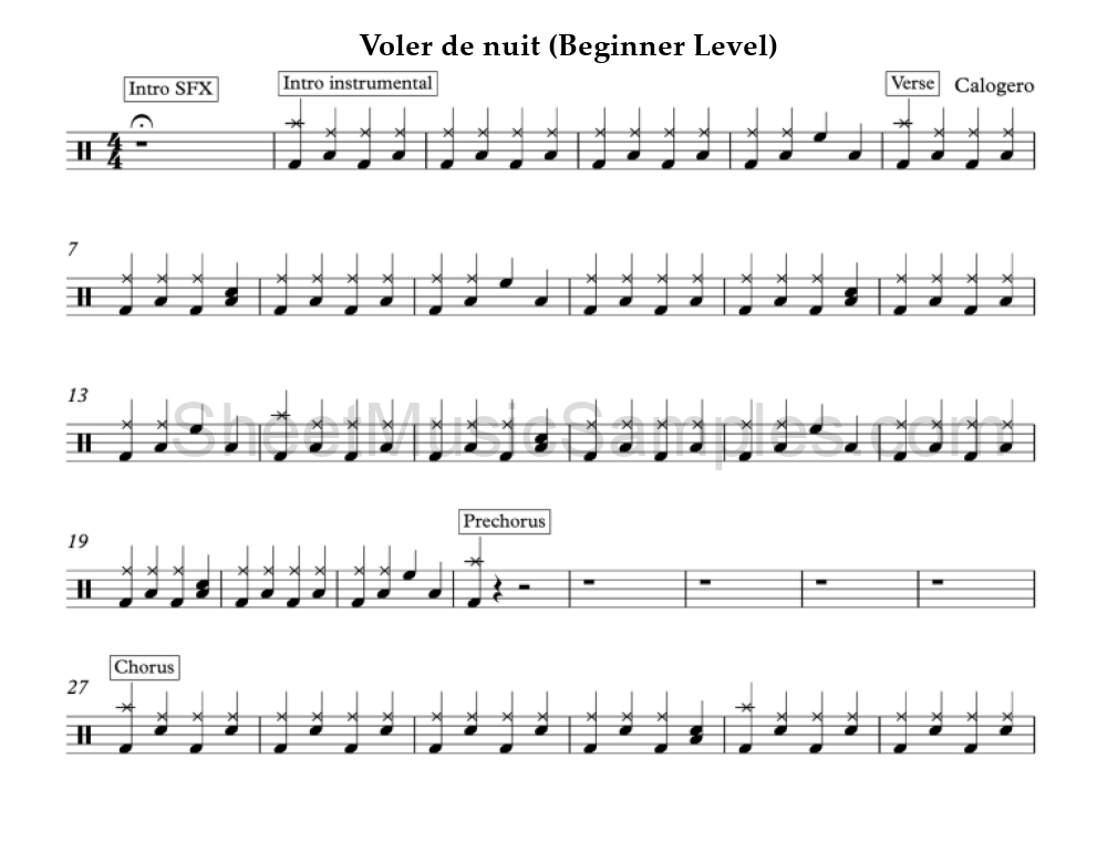 Voler de nuit (Beginner Level)