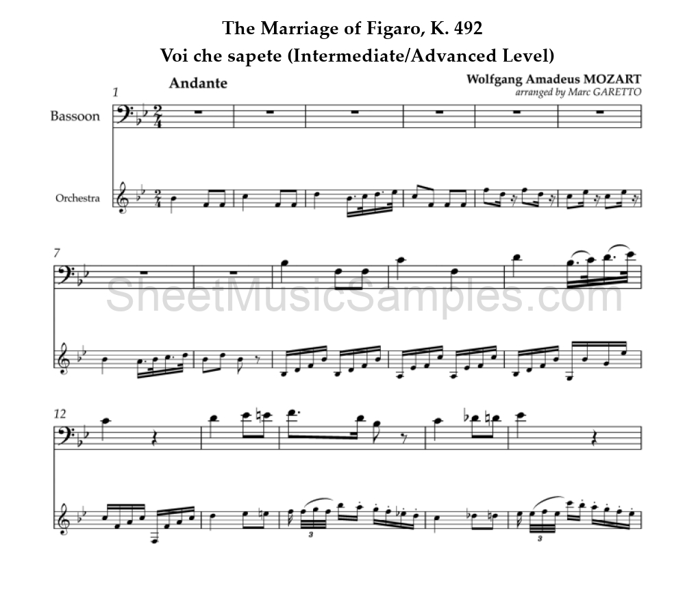 The Marriage of Figaro, K. 492 - Voi che sapete (Intermediate/Advanced Level)