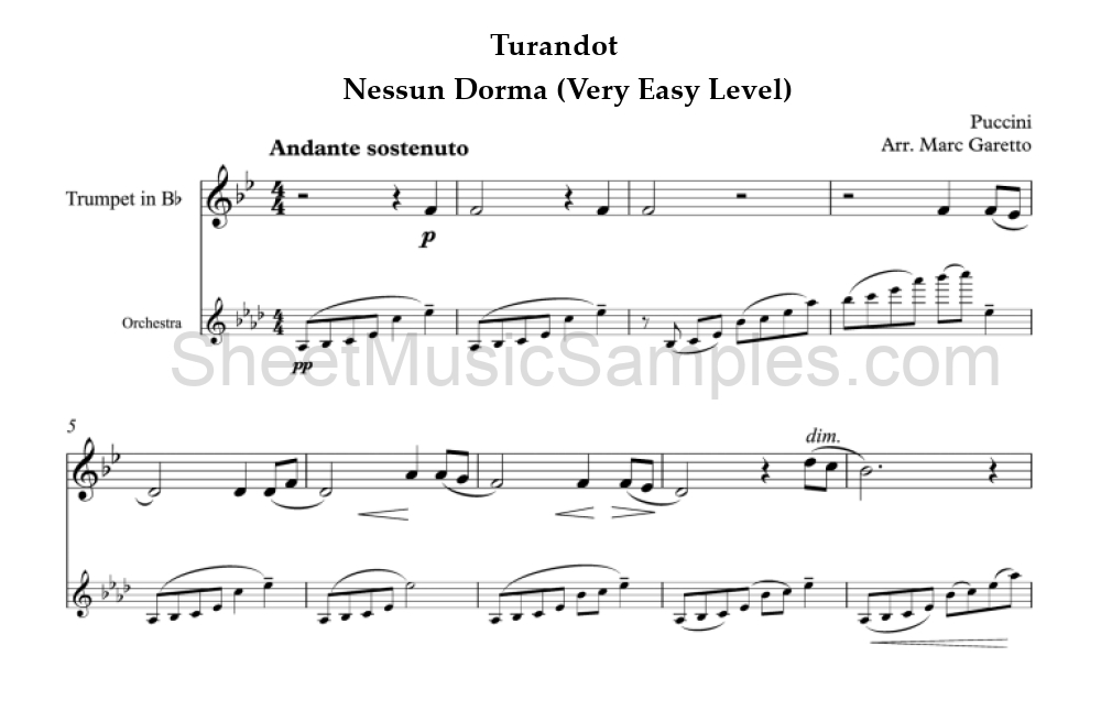 Turandot - Nessun Dorma (Very Easy Level)