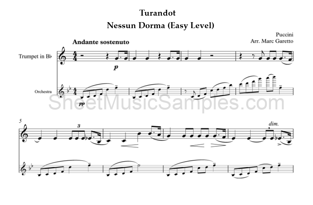 Turandot - Nessun Dorma (Easy Level)