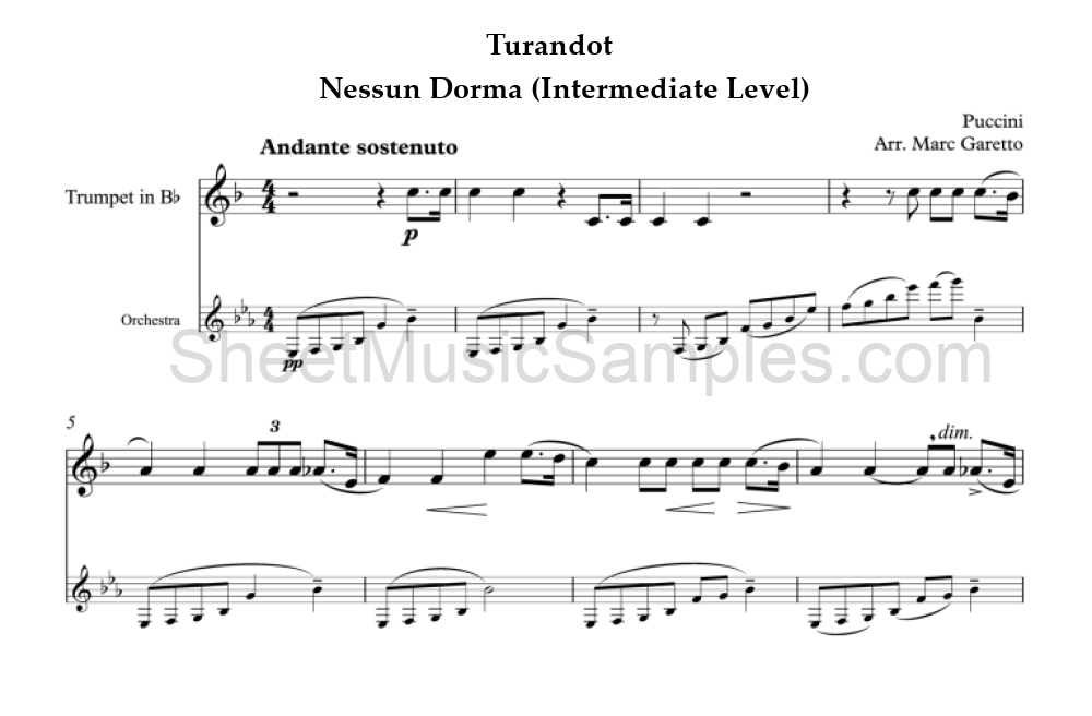 Turandot - Nessun Dorma (Intermediate Level)