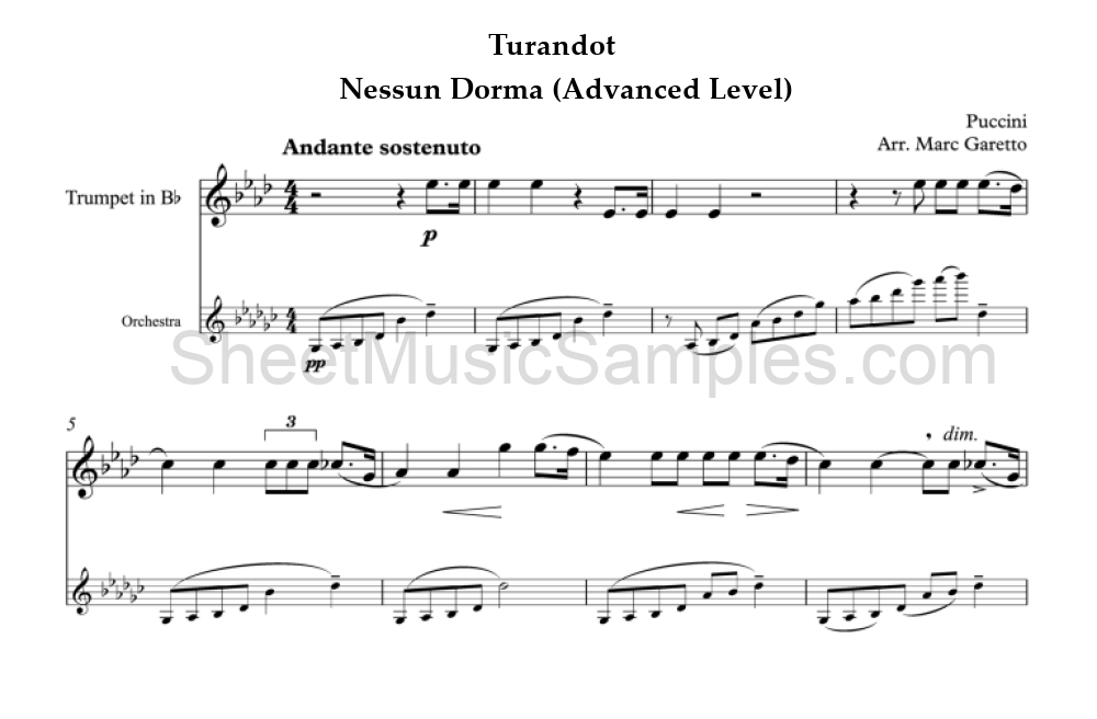 Turandot - Nessun Dorma (Advanced Level)