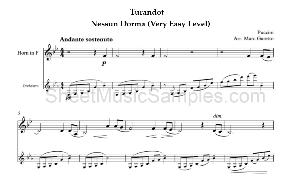 Turandot - Nessun Dorma (Very Easy Level)