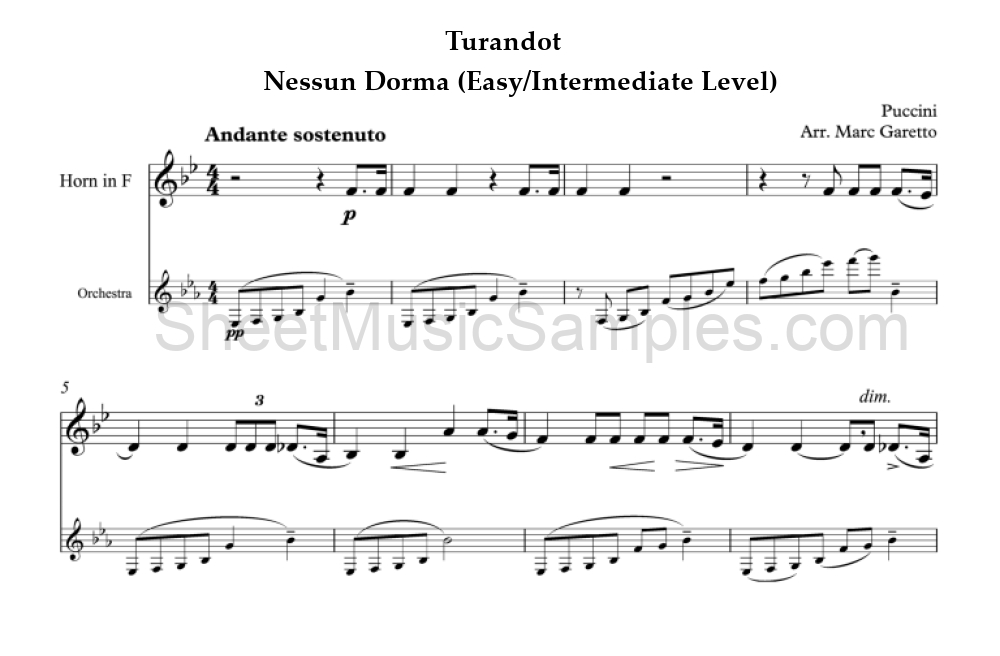 Turandot - Nessun Dorma (Easy/Intermediate Level)