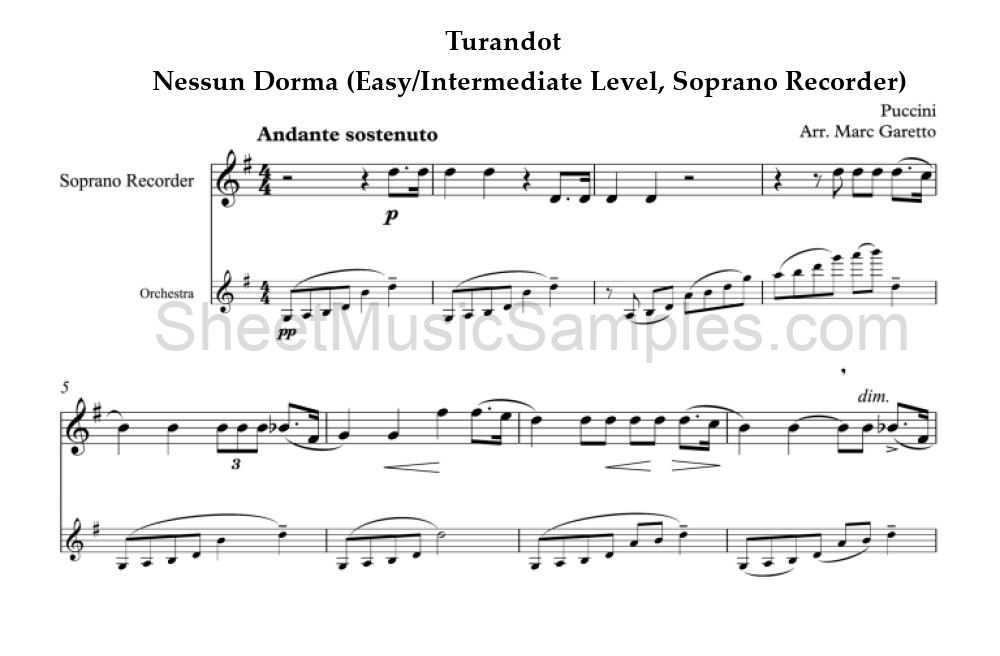 Turandot - Nessun Dorma (Easy/Intermediate Level, Soprano Recorder)