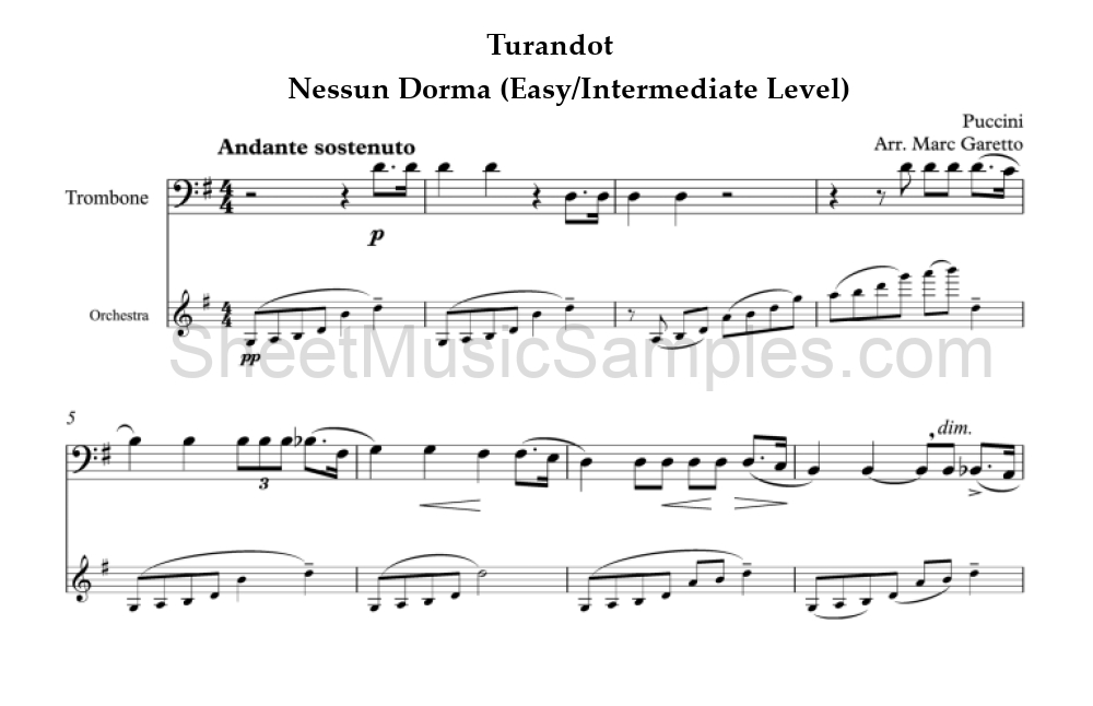 Turandot - Nessun Dorma (Easy/Intermediate Level)