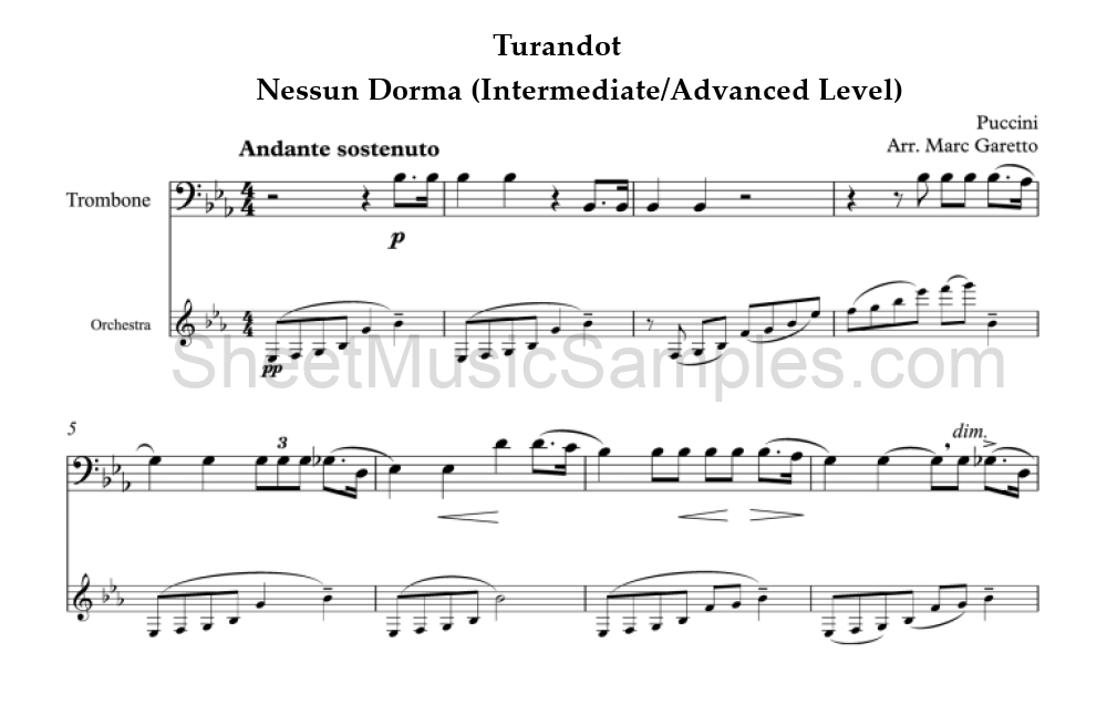 Turandot - Nessun Dorma (Intermediate/Advanced Level)