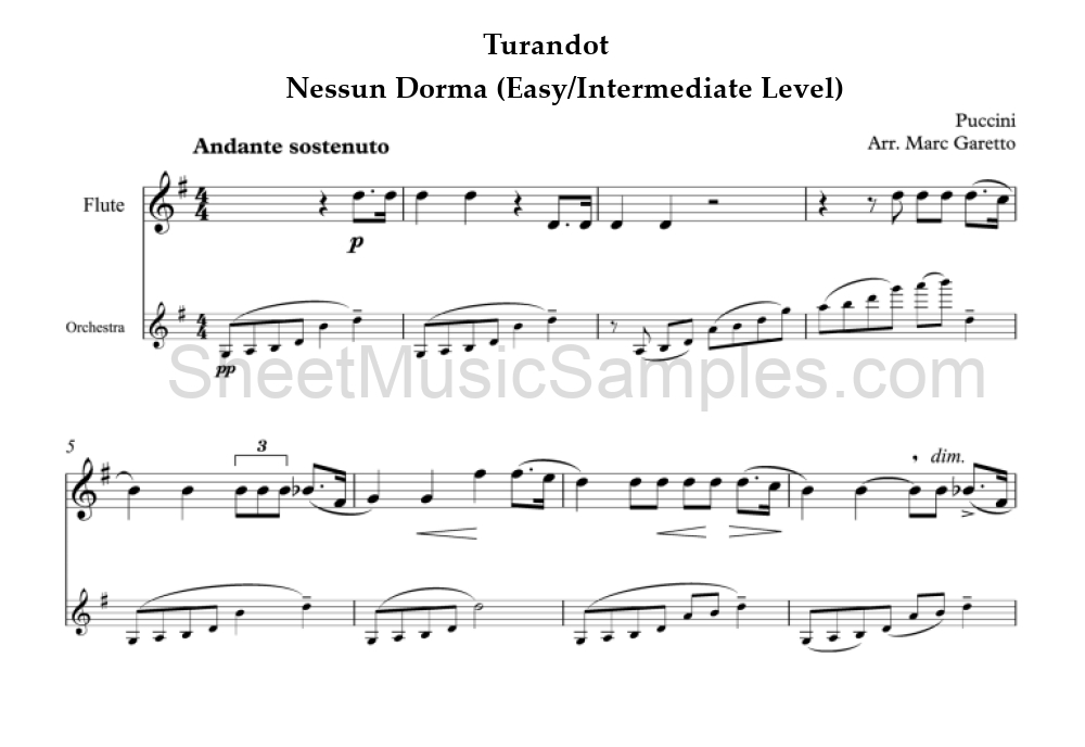 Turandot - Nessun Dorma (Easy/Intermediate Level)