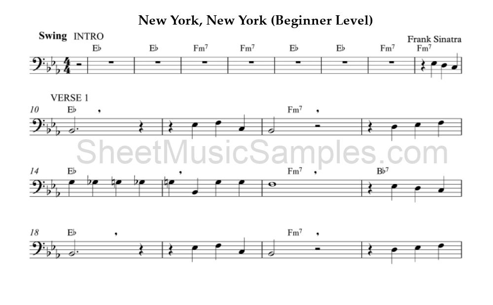 New York, New York (Beginner Level)