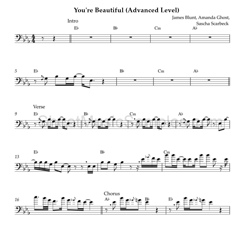 You're Beautiful (Advanced Level)