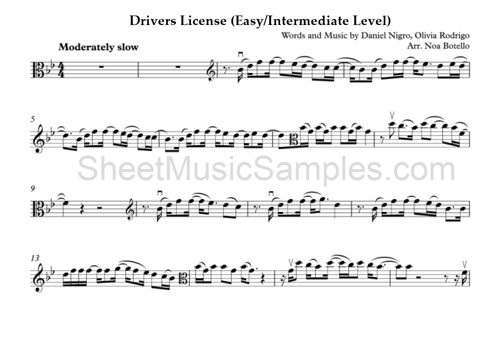 Drivers License (Easy/Intermediate Level)