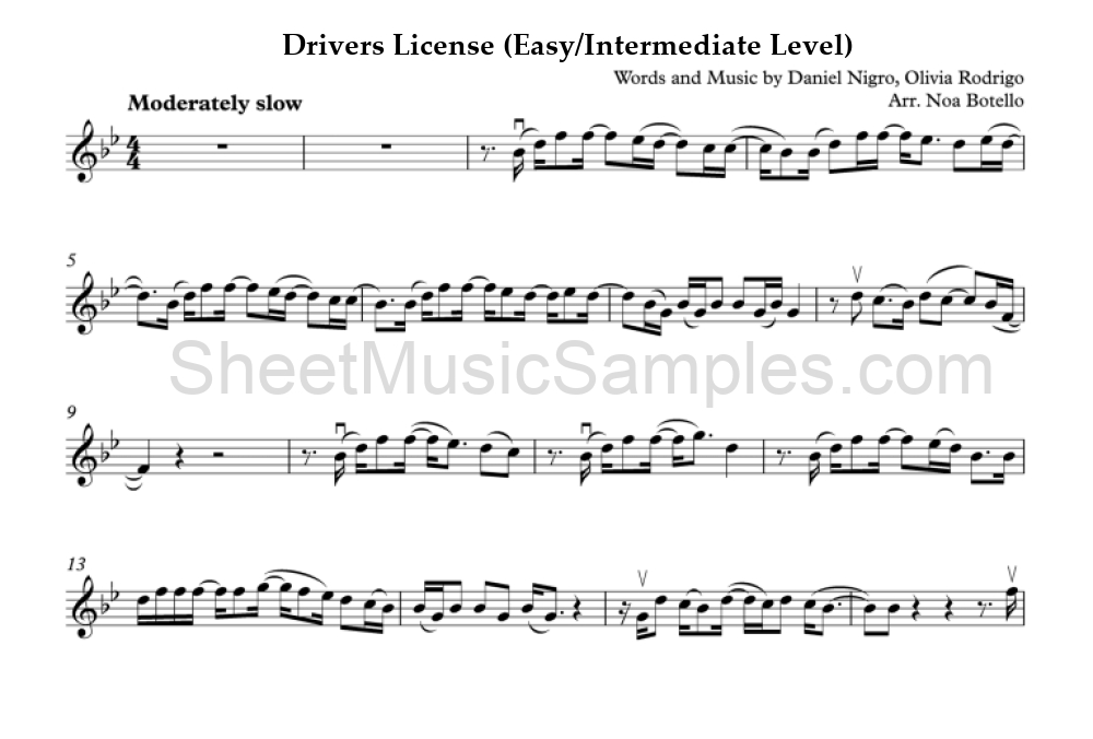 Drivers License (Easy/Intermediate Level)