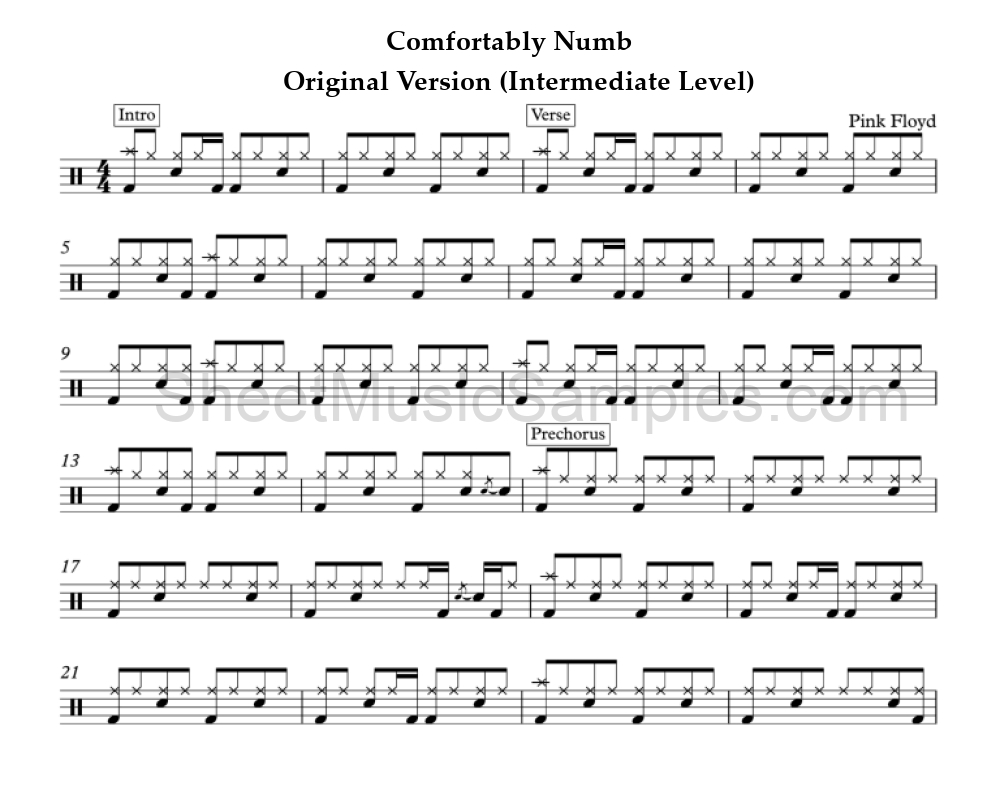 Comfortably Numb - Original Version (Intermediate Level)