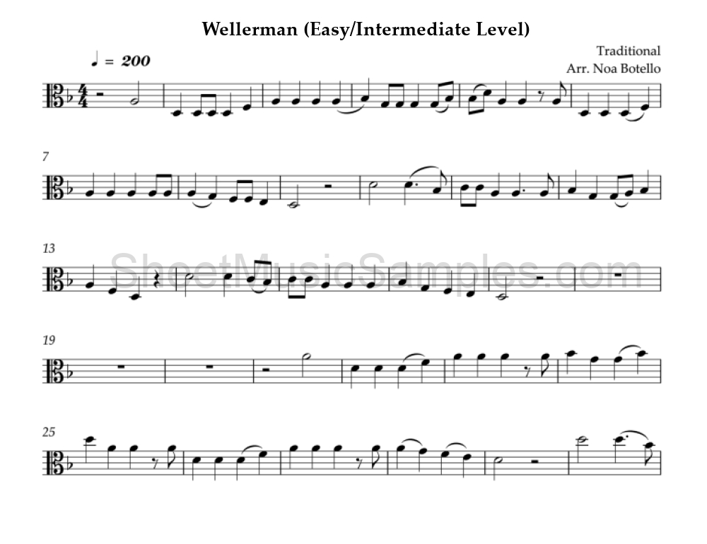 Wellerman (Easy/Intermediate Level)