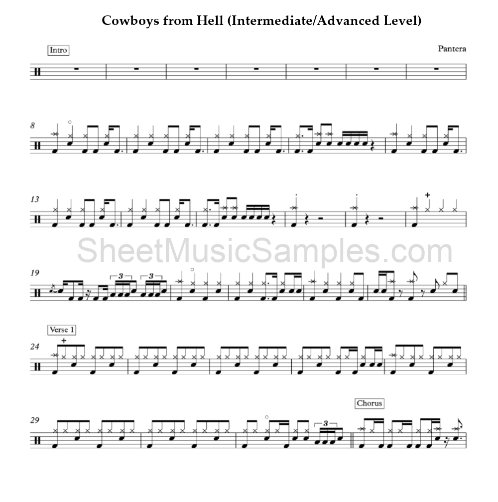 Cowboys from Hell (Intermediate/Advanced Level)