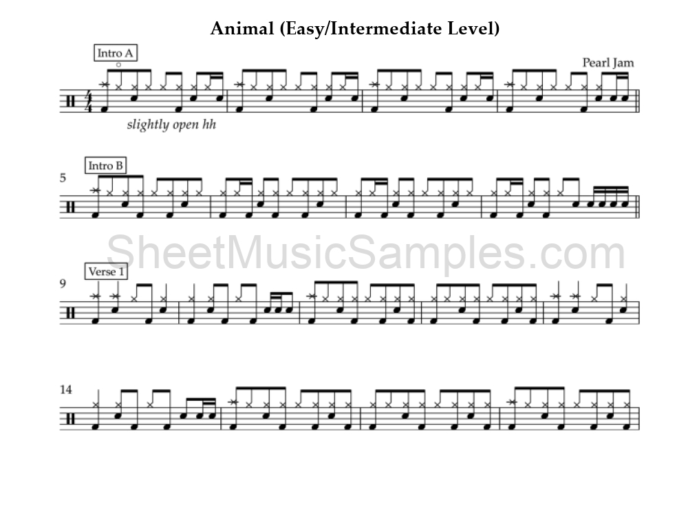 Animal (Easy/Intermediate Level)