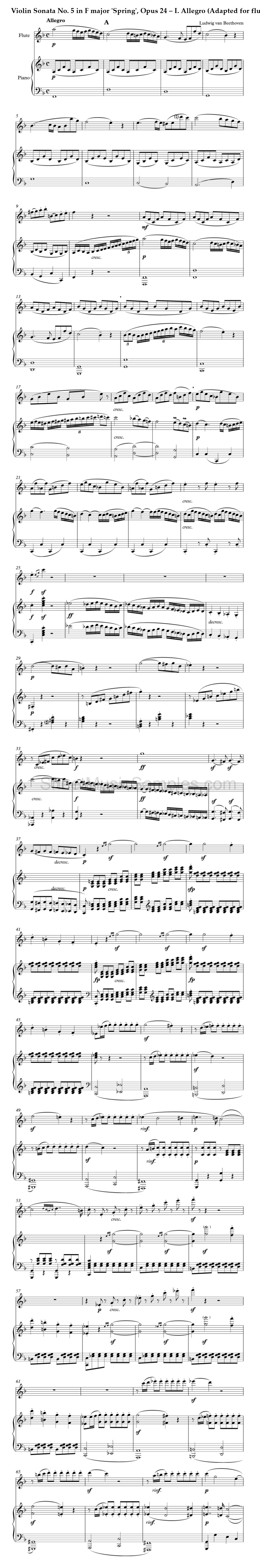 Violin Sonata No. 5 in F major 'Spring', Opus 24 – I. Allegro (Adapted for flute)