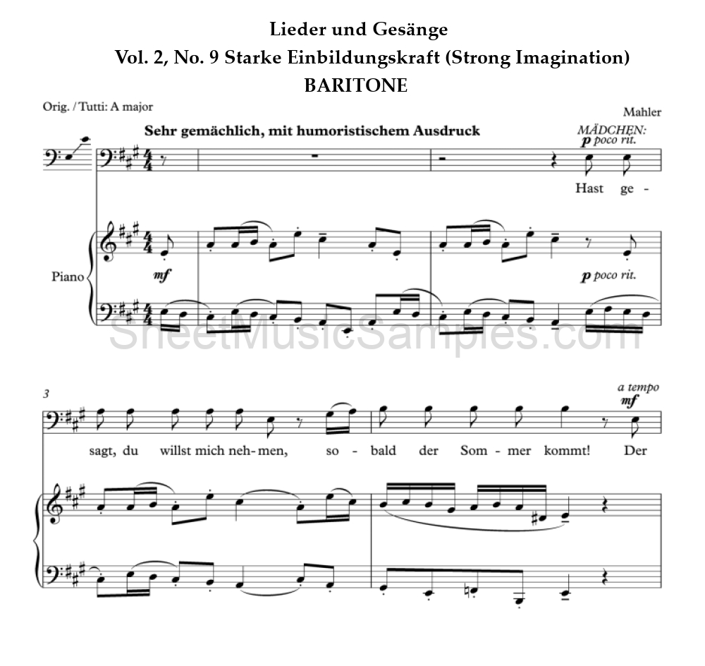 Lieder und Gesänge - Vol. 2, No. 9 Starke Einbildungskraft (Strong Imagination) - BARITONE