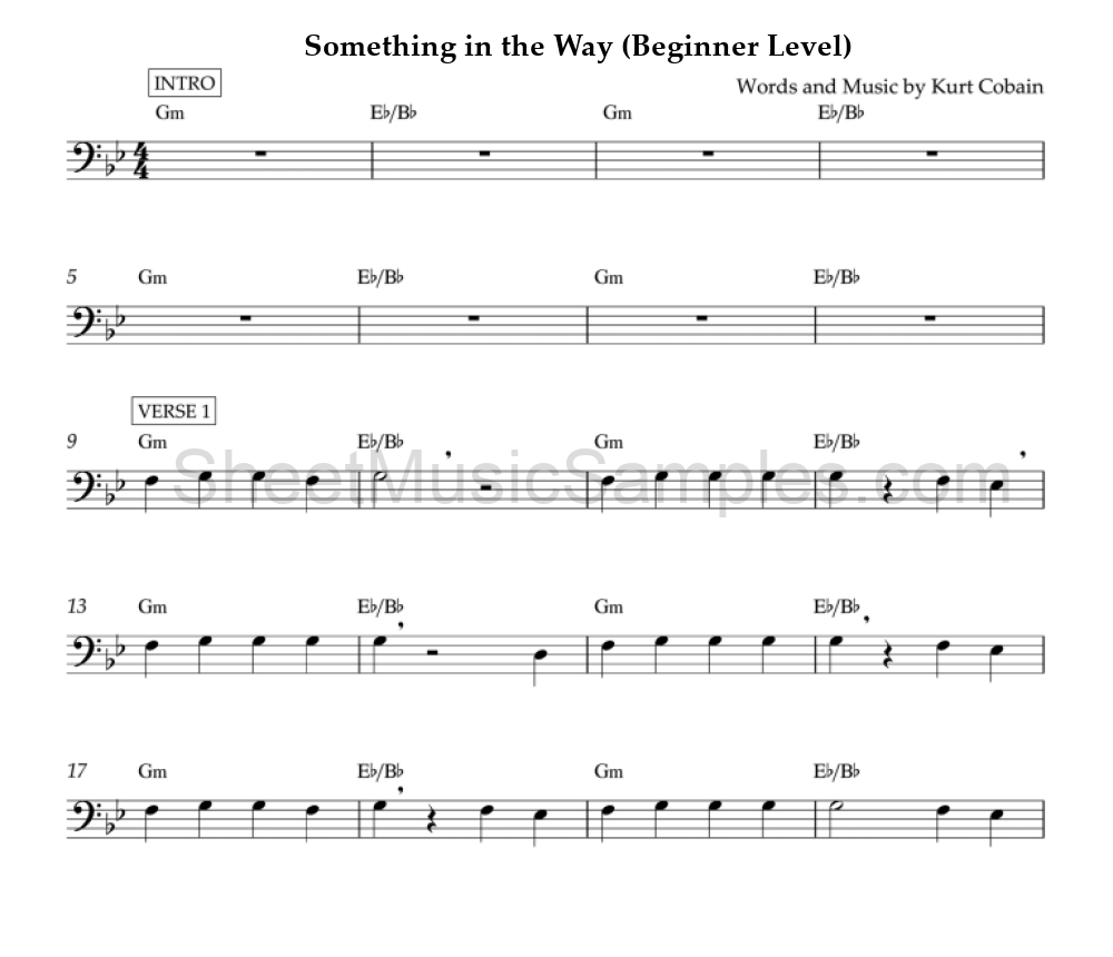 Something in the Way (Beginner Level)