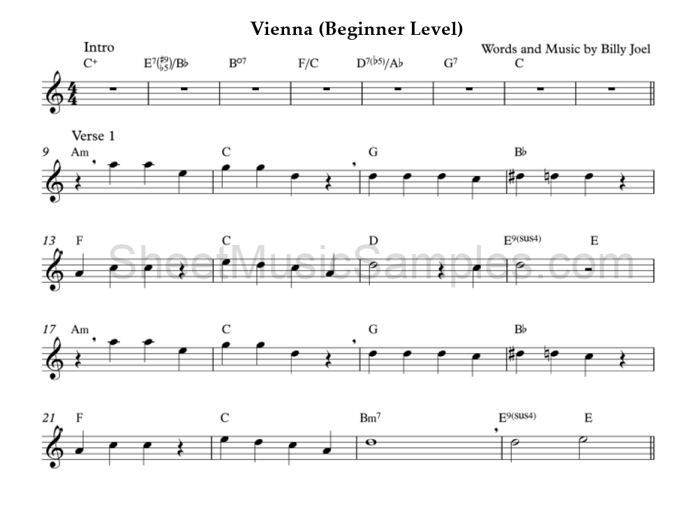 Vienna (Beginner Level)