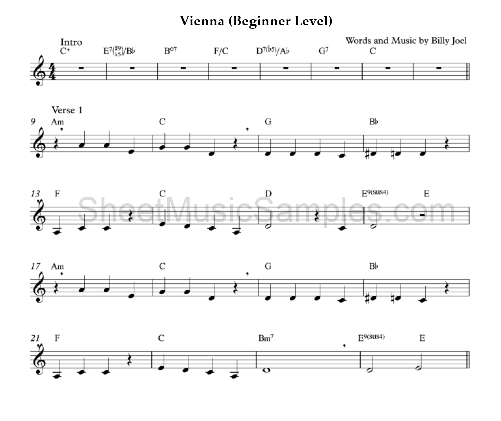 Vienna (Beginner Level)