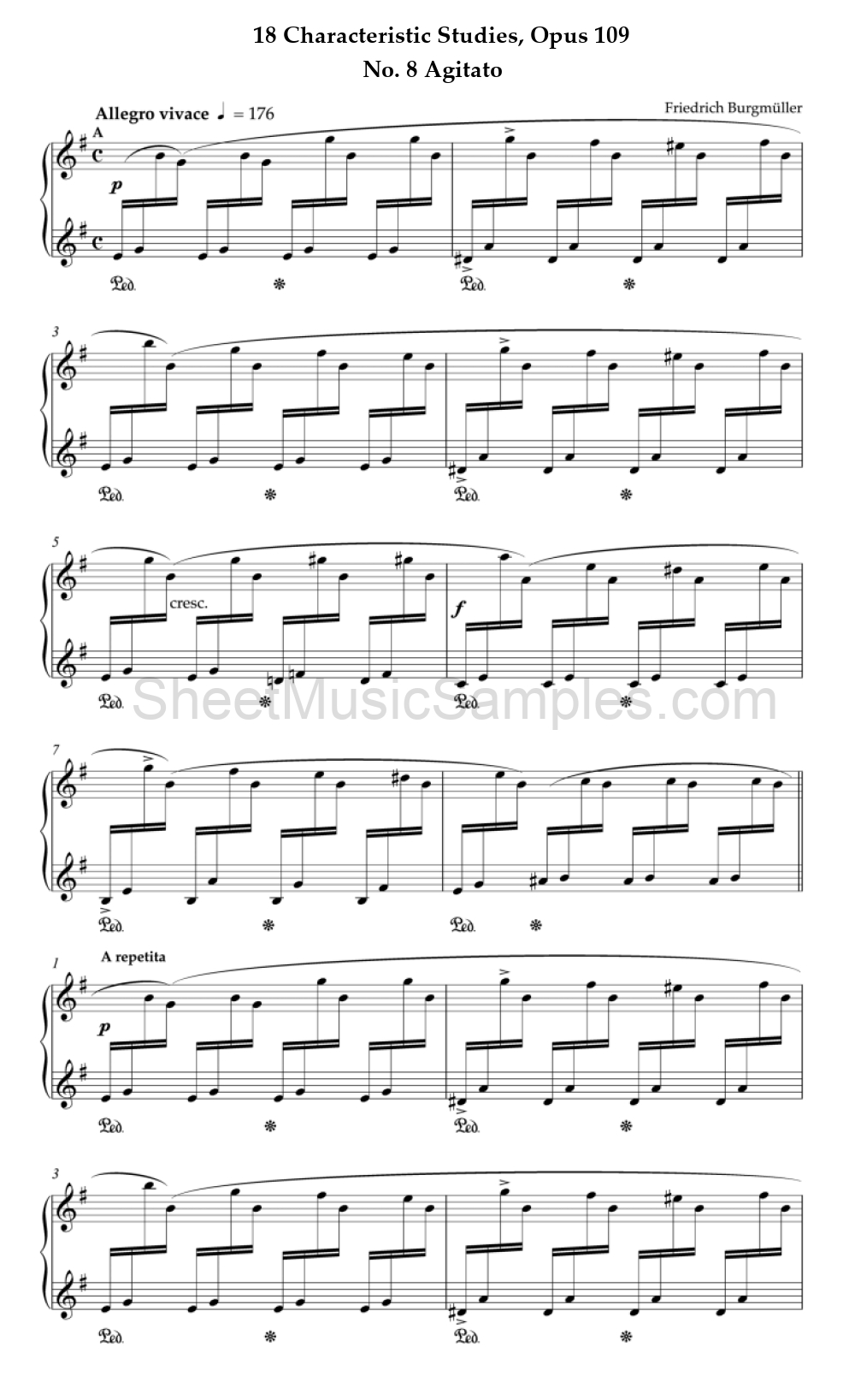 18 Characteristic Studies, Opus 109 - No. 8 Agitato